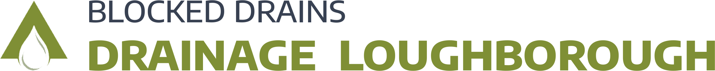 website logo
